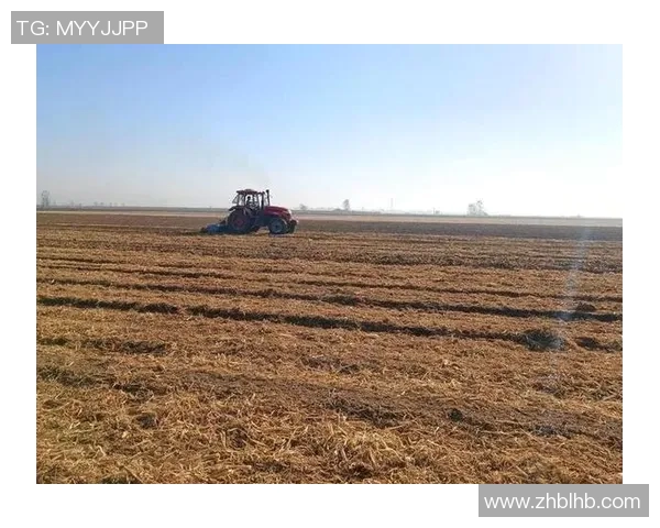 五谷丰登：探寻五大农作物在农业发展中的重要作用与未来前景