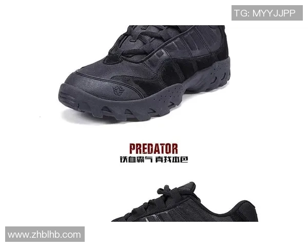 武汉攀岩队战术对比深度解析与未来发展趋势探讨