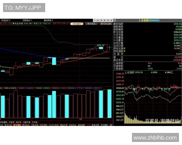 杭州极限运动队防守策略分析及其在比赛中的成效与不足探讨