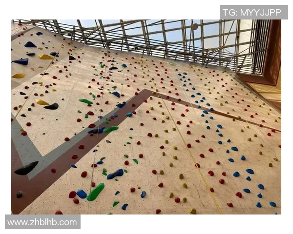 攀岩战术解析：探索北京攀岩队的高效运营与训练体系